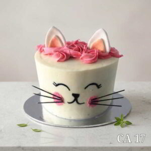 Cat face cake CA17