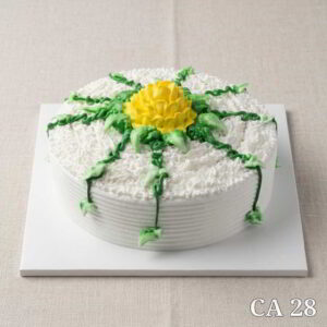 Round shape cake CA28