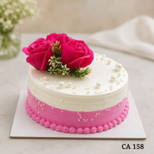 Standard round shape cake CA158