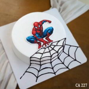 Spider-Man cake CA227