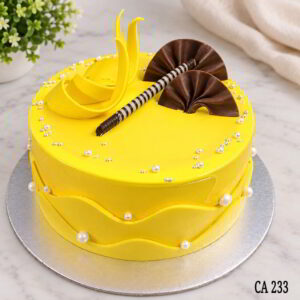 Chocolate garnish decoration mango cake CA233